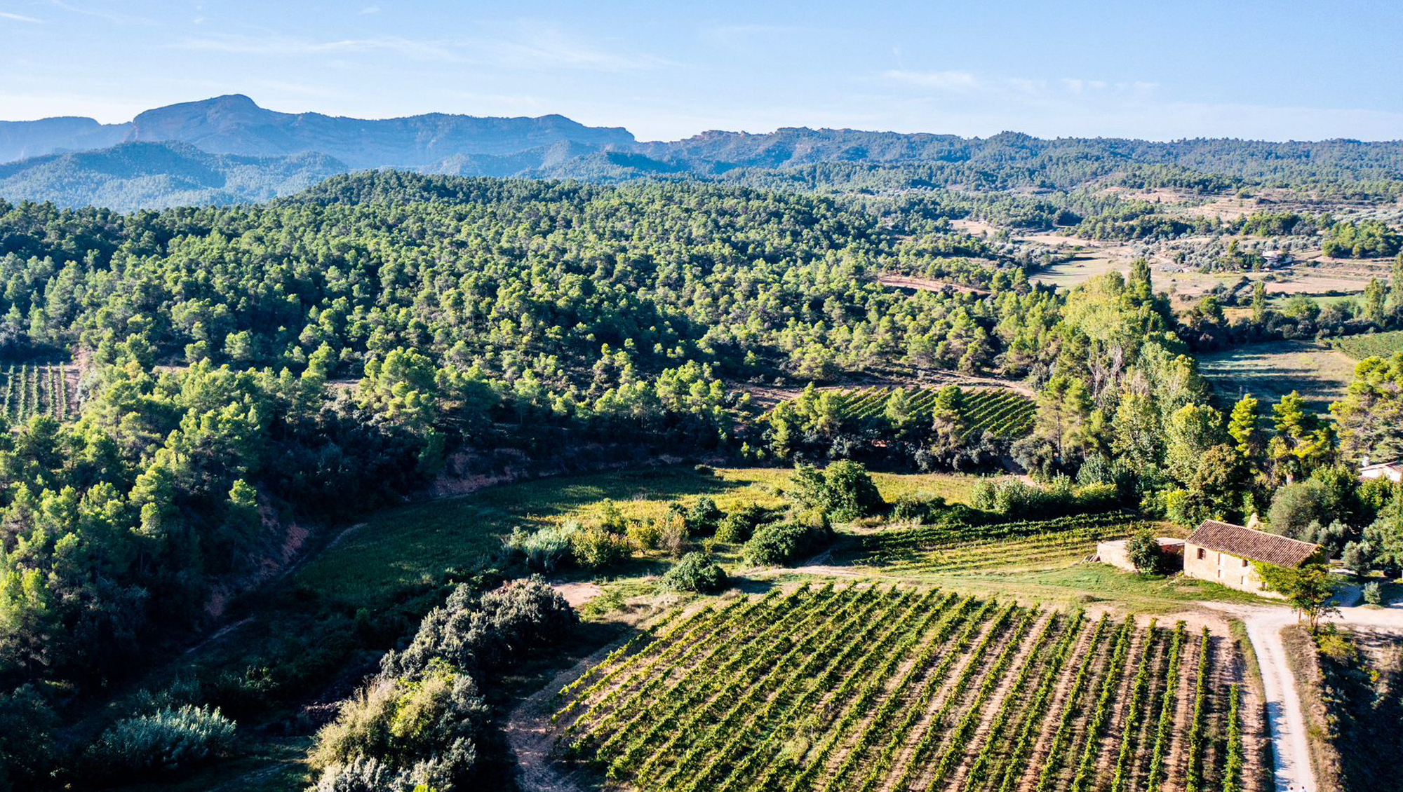 Weinregion Bajo Aragón Weine aus Bajo Aragón