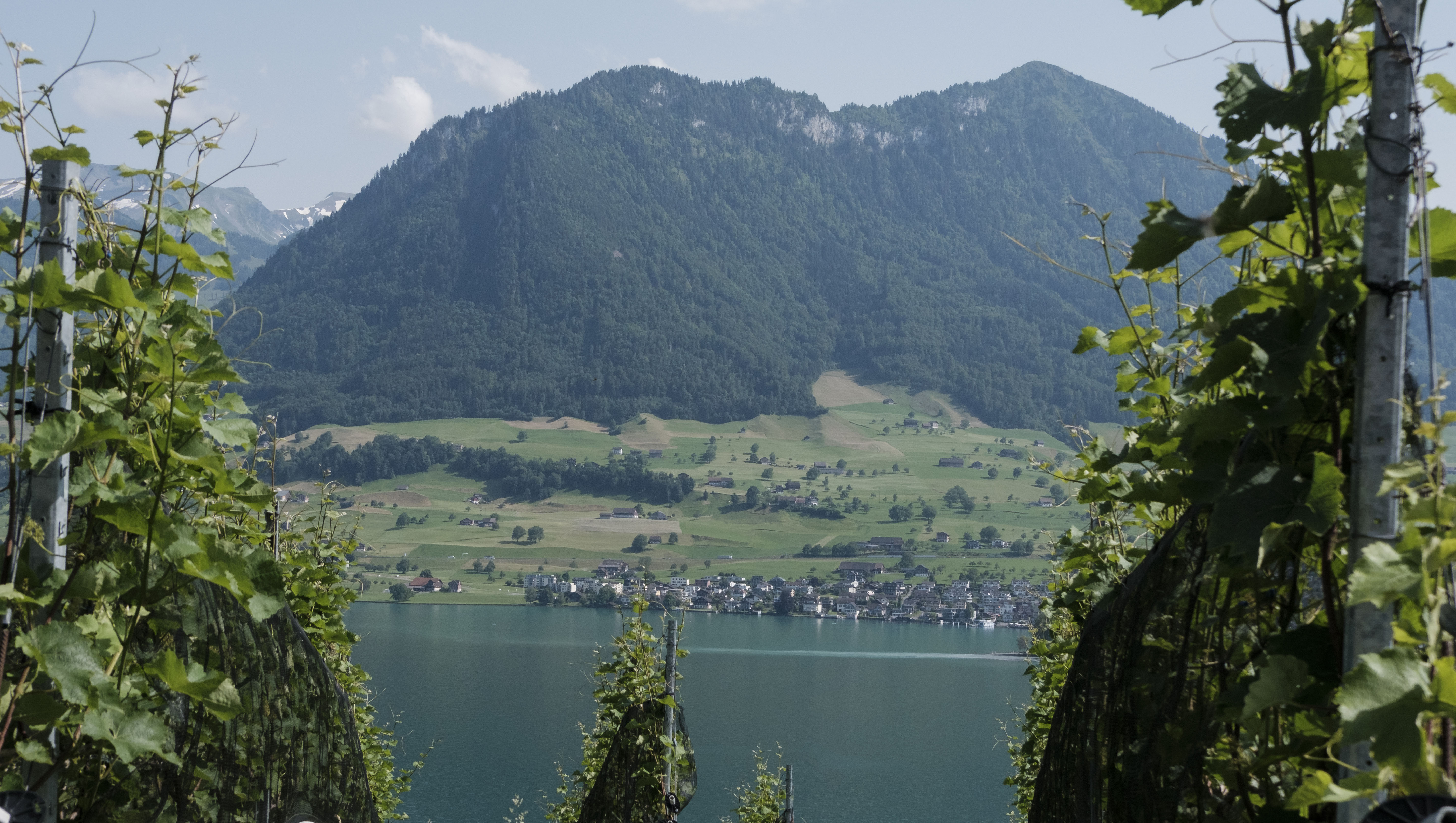 Weinregion Nidwalden Weine aus Nidwalden