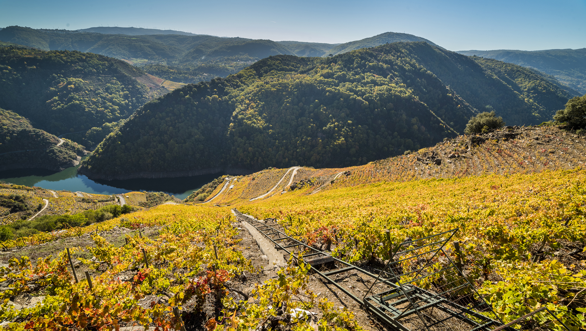 Weine aus Ribeira Sacra