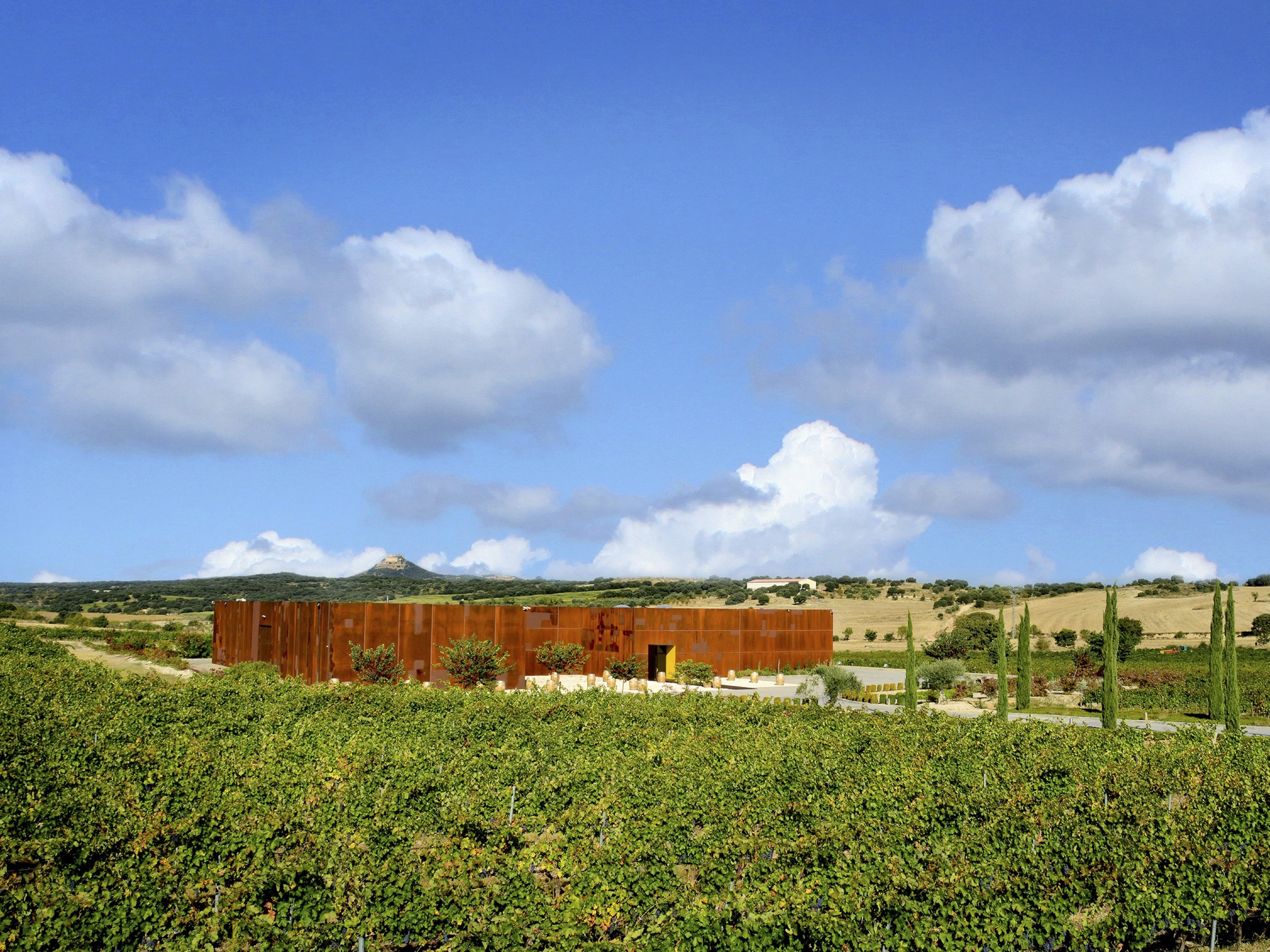 Bodega El Grillo y la Luna