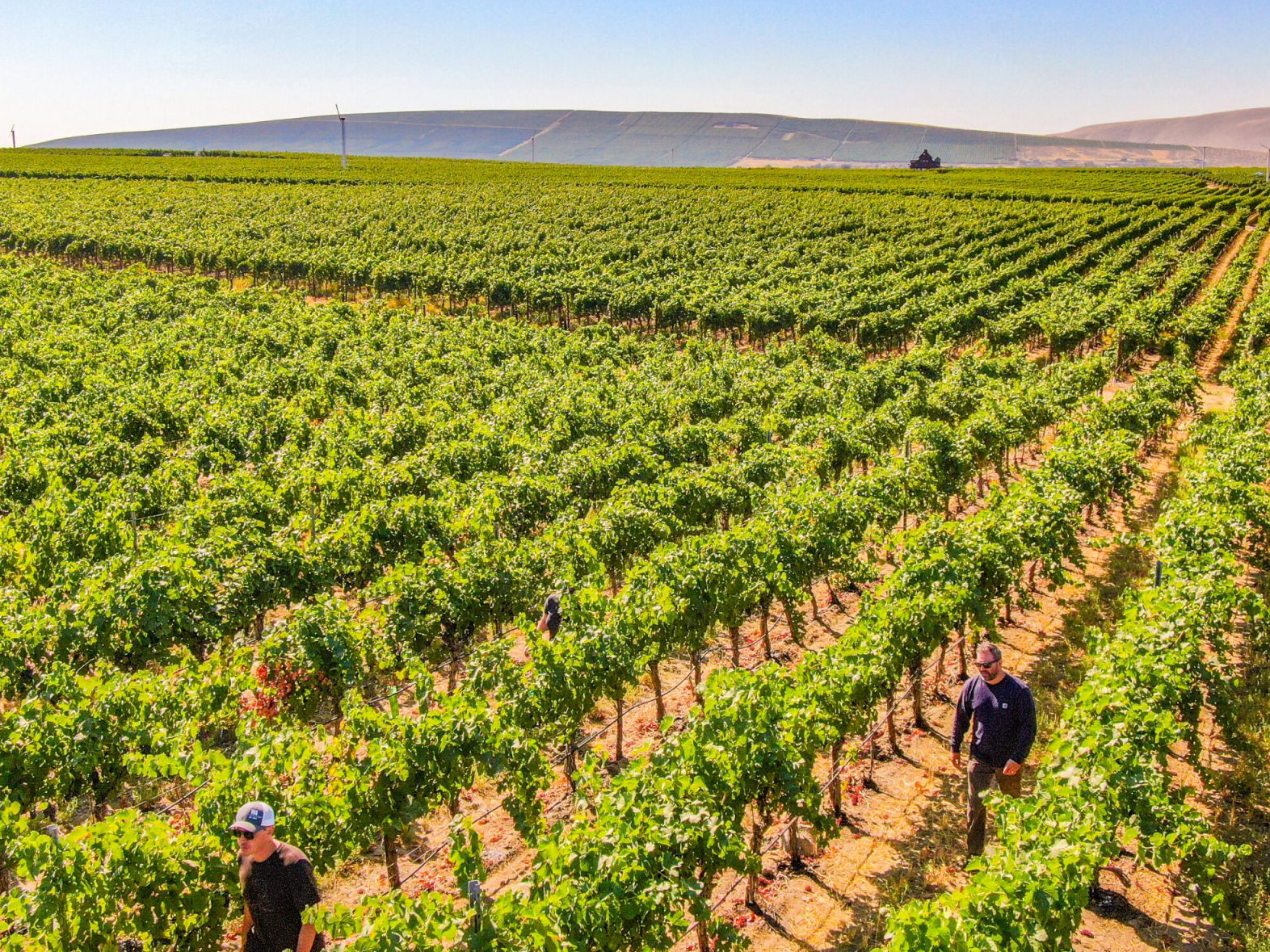 Domaine Larroque