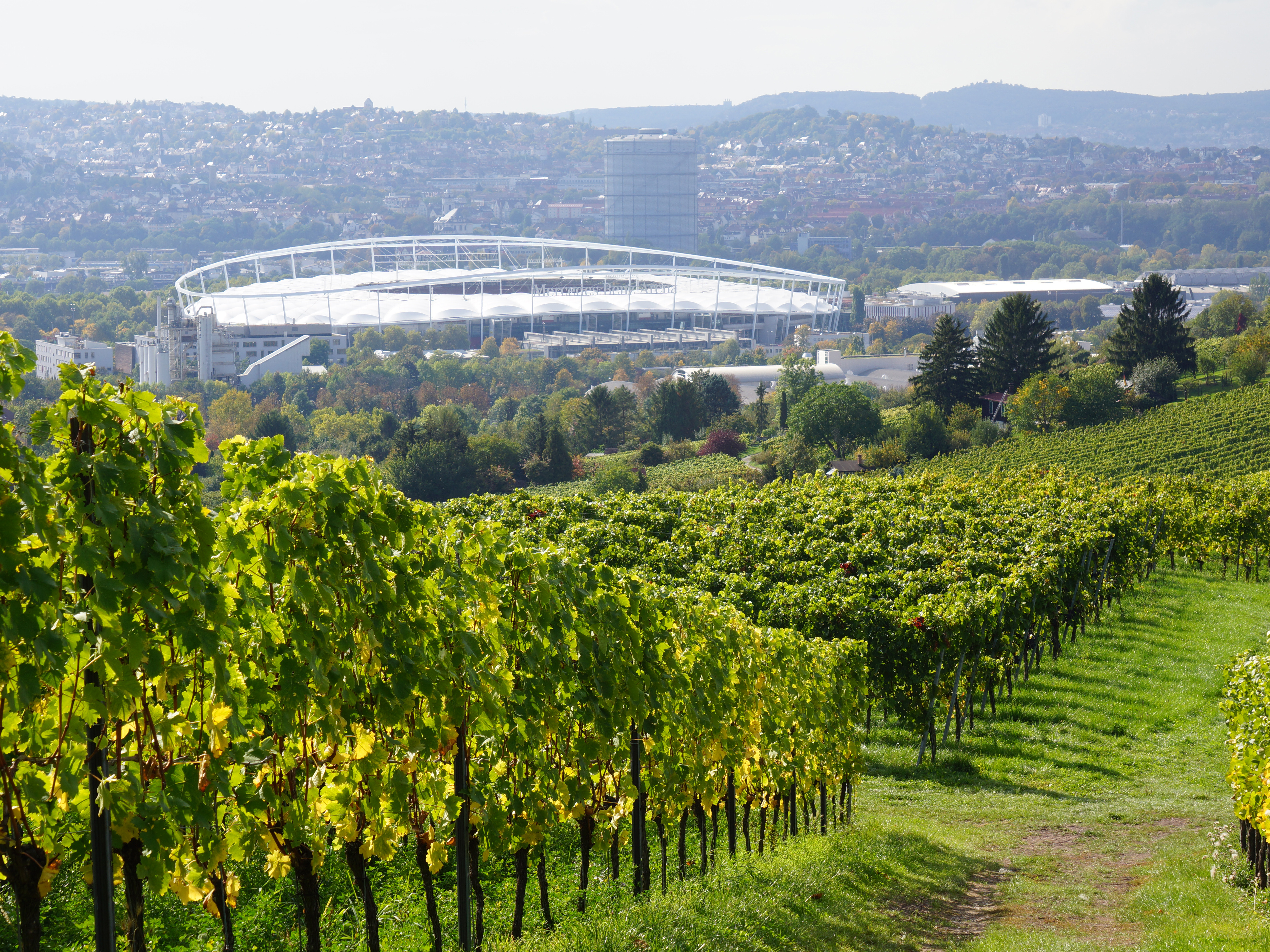 Weine von Weingut Wöhrwag Weingut Wöhrwag