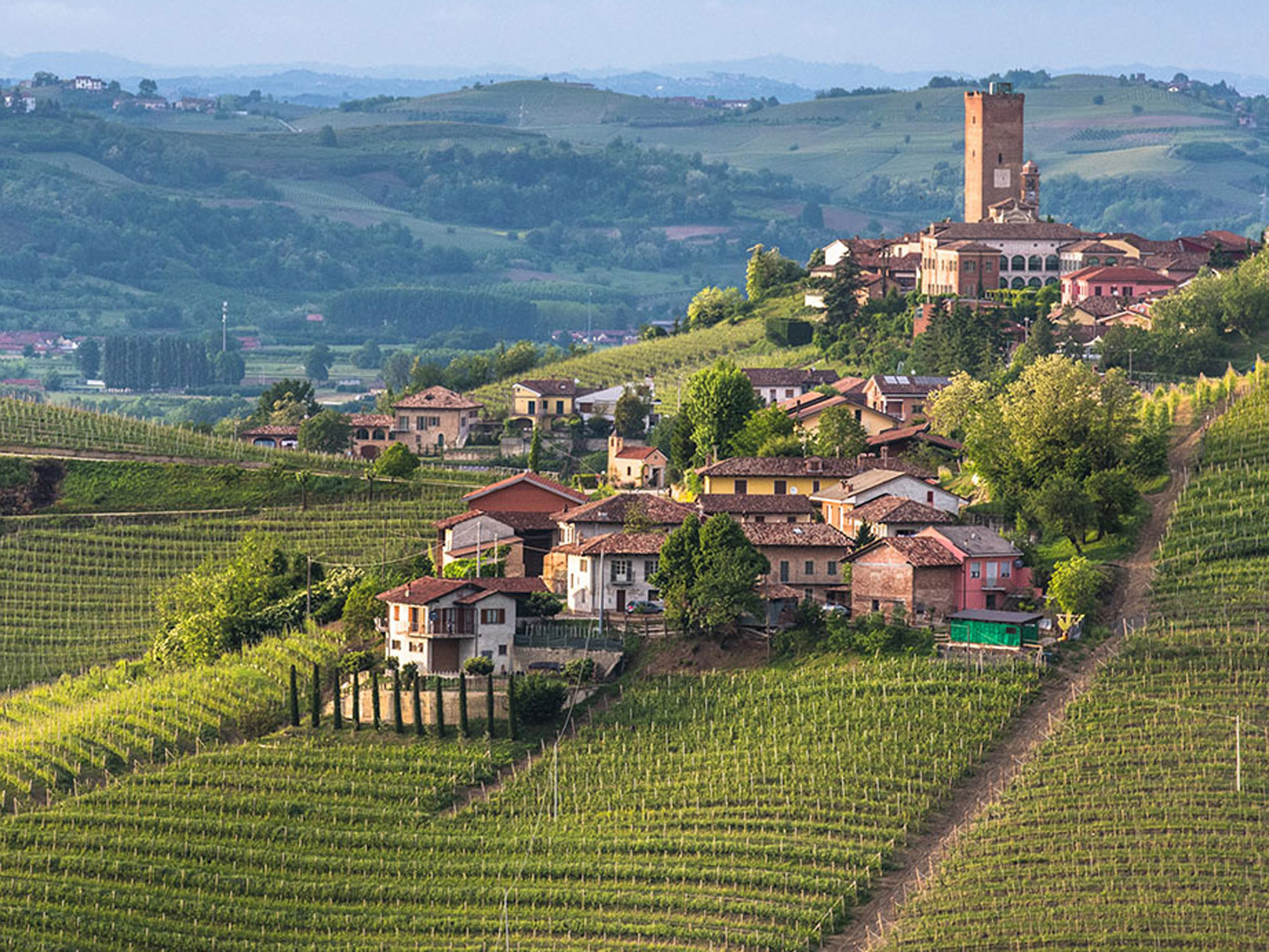 Angelo Gaja, Barbaresco