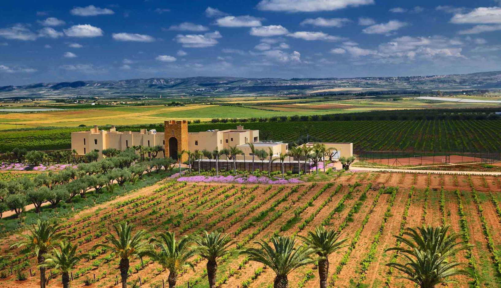 Weinregion Fès-Meknès Weine aus Fès-Meknès