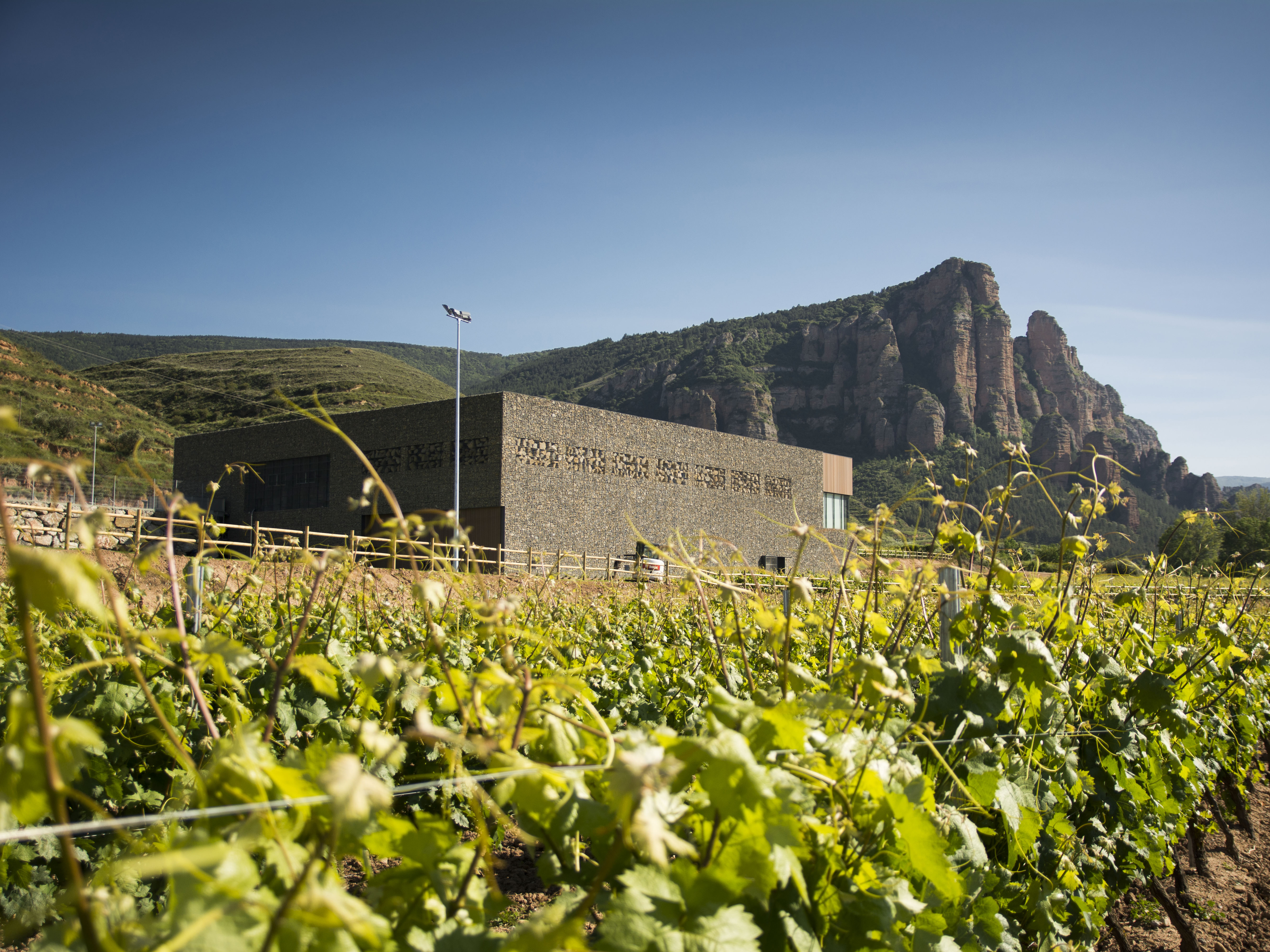 Weine von Bodegas Nivarius Bodegas Nivarius