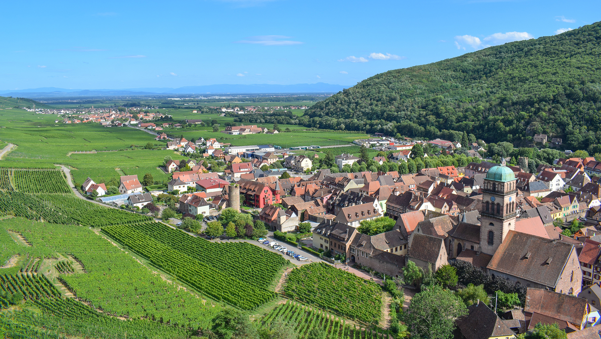 Weinregion Alsace Weine aus Alsace