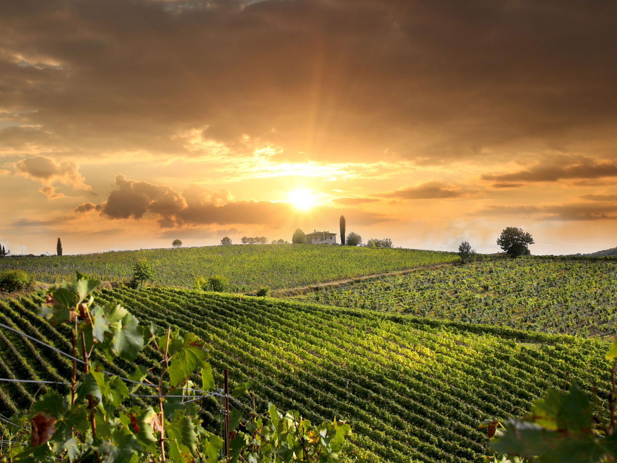 Weine von Villa Franciacorta Villa Franciacorta