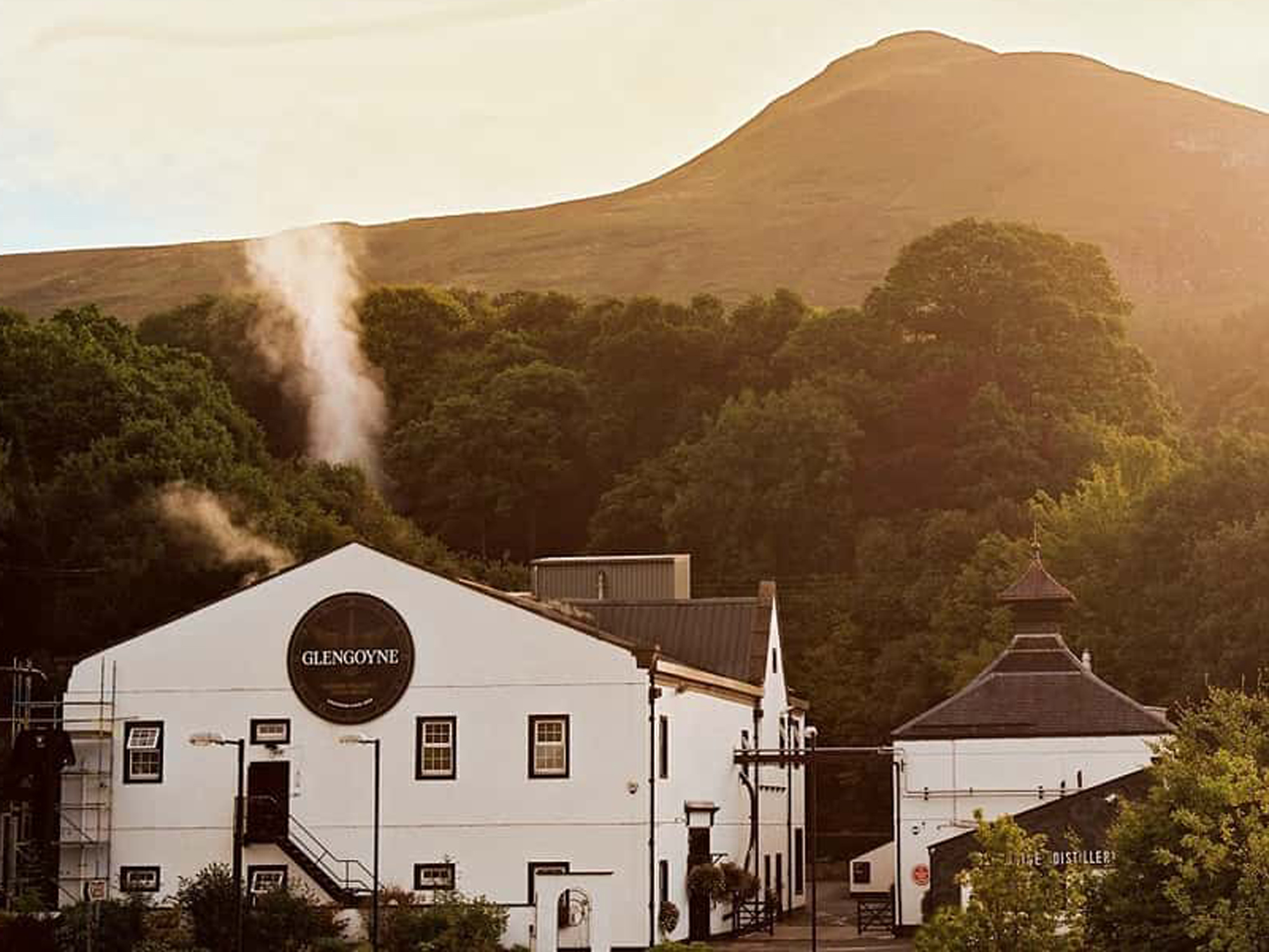 Weine von Glengoyne Distillery Glengoyne Distillery