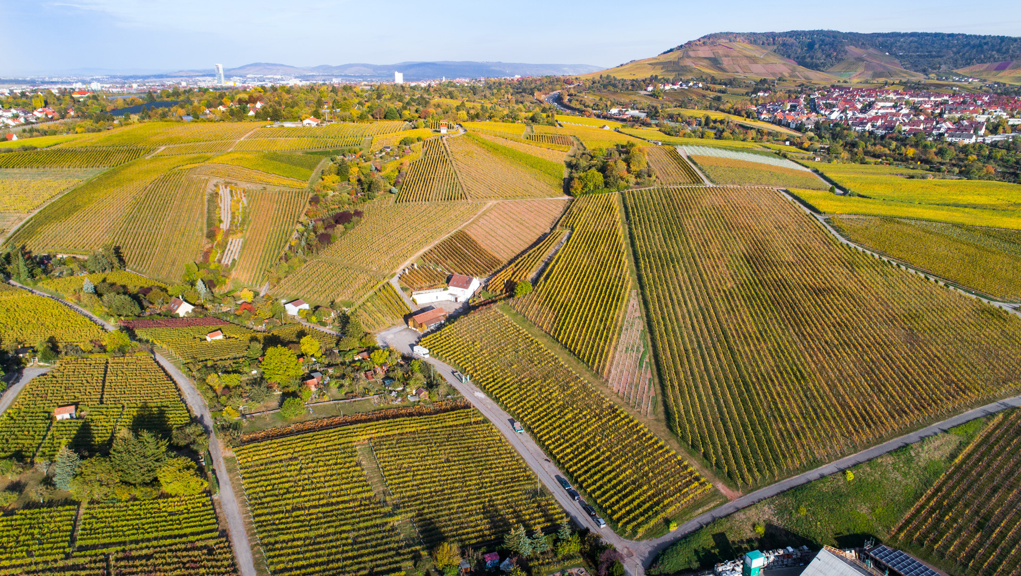 Weinregion Württemberg Weine aus Württemberg