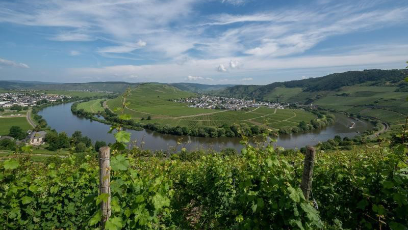 Weinregion Tri Morave Weine aus Tri Morave
