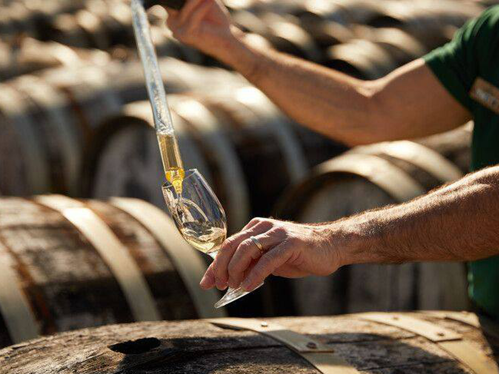 Weine von Maison Noilly Prat Maison Noilly Prat