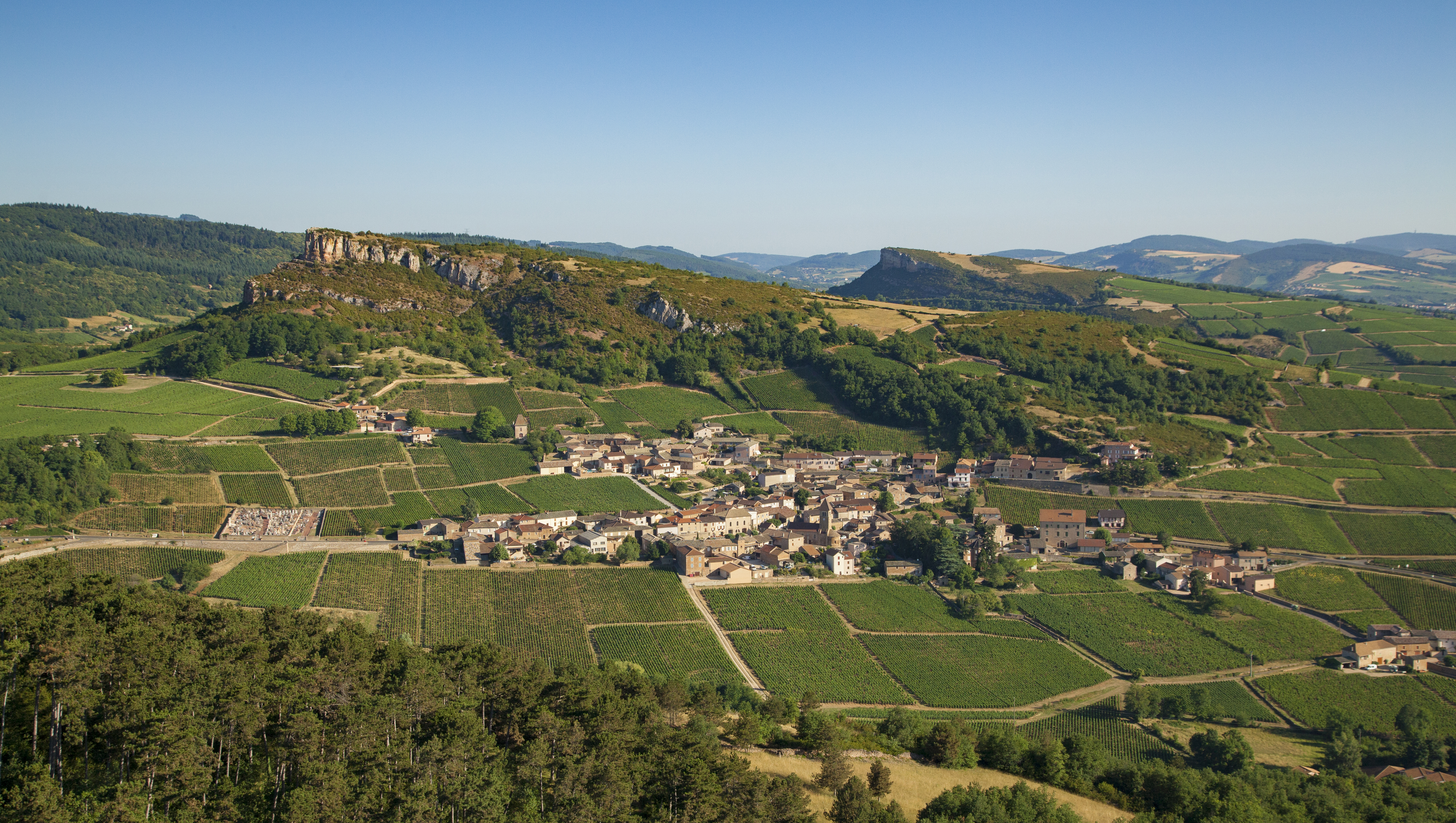Weinregion Mâconnais Weine aus Mâconnais