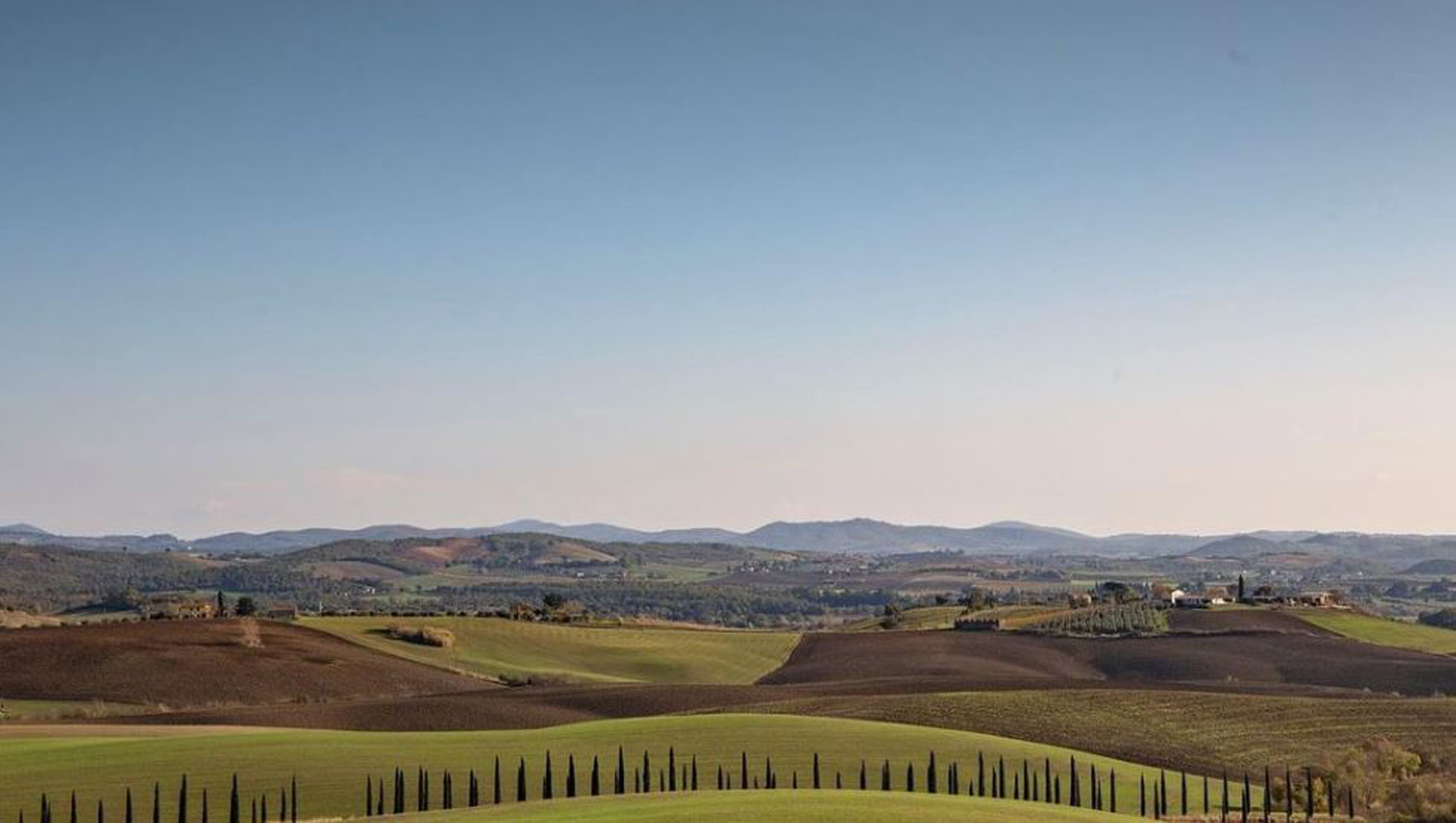 Weinregion Toscana/Maremma Weine aus Toscana/Maremma