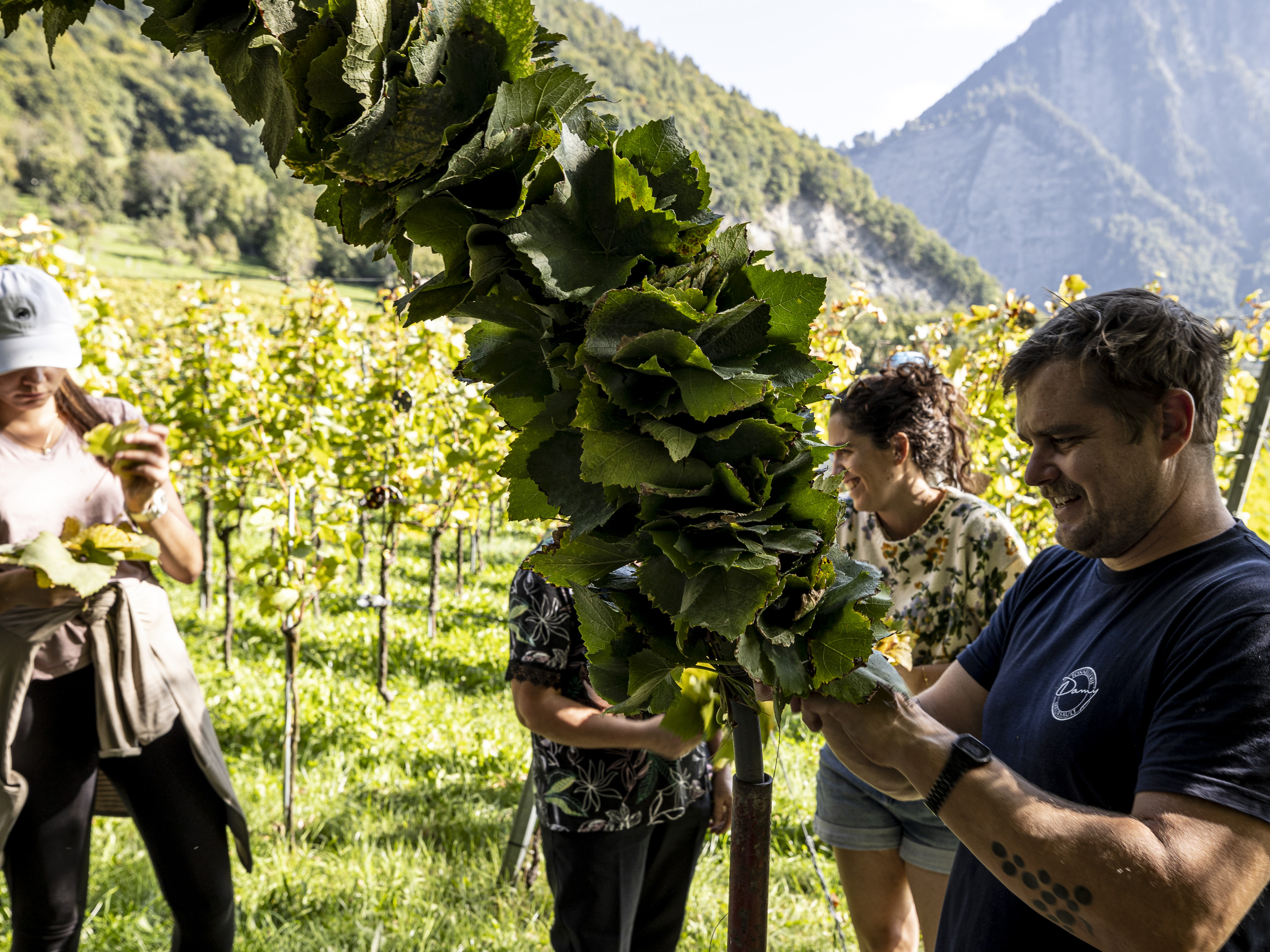 Weingut Wegelin, Malans