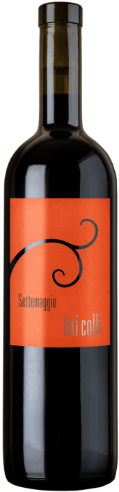 Irti Colli 2023 Cantina Settemaggio, Monte Carasso