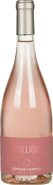 Pallido 2024 Simone Capecci, Ripatransone