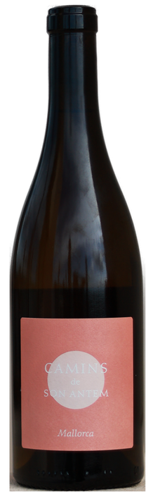 Camins blanc 2024 Bodega Son Antem, Alaró