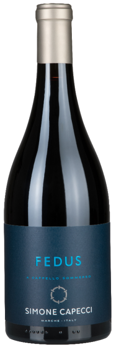 Fedus Simone Capecci, Ripatransone Fedus 2022 Simone Capecci, Ripatransone