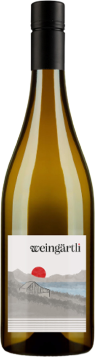 Souvignier Gris 2024 Weingärtli, Ennetbürgen