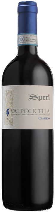 Valpolicella Classico DOC 2024 Speri Viticoltori, Pedemonte