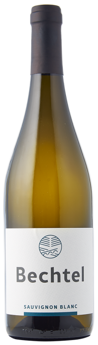 Sauvignon Blanc Bechtel, Eglisau Sauvignon Blanc 2023 Bechtel, Eglisau