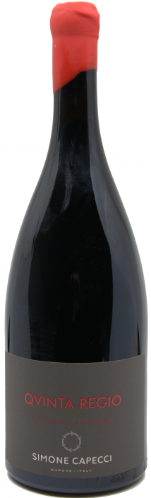 Qvinta Regio Simone Capecci, Ripatransone Qvinta Regio 2019 Simone Capecci, Ripatransone